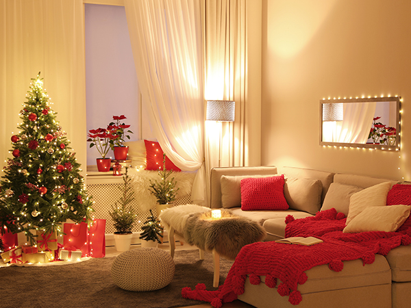 fairy lights remote