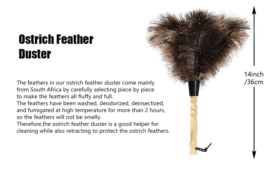 ostrich feather duster