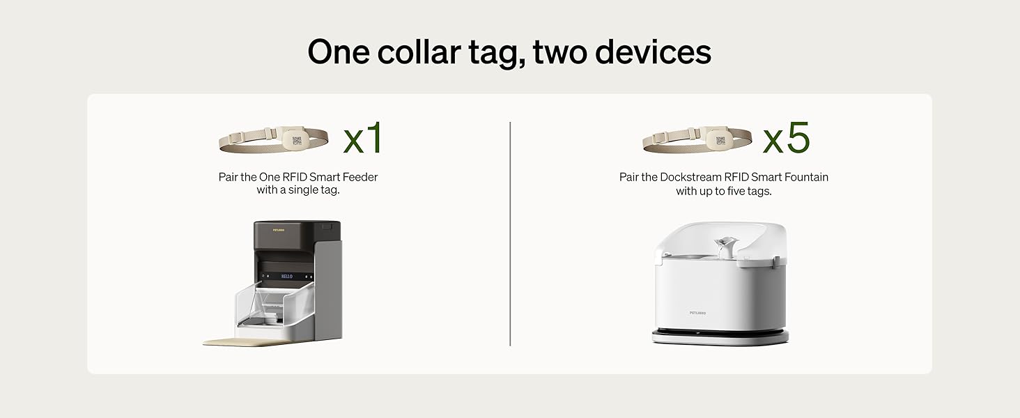 RFID collar tag