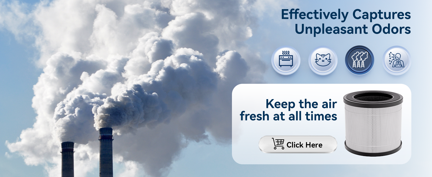 Air Purifiers for Home
