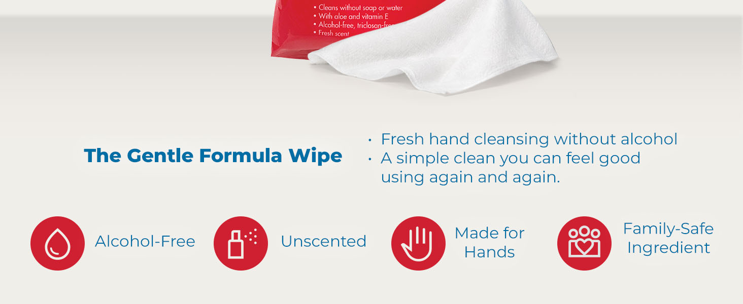 Diamond Wipes WipeEssentials Sanitizing Wipes