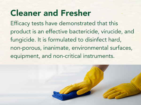 Beaumont - Citrus II - Hospital Germicidal Deodorizing Cleaner