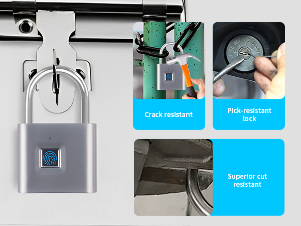 Biometric Padlock