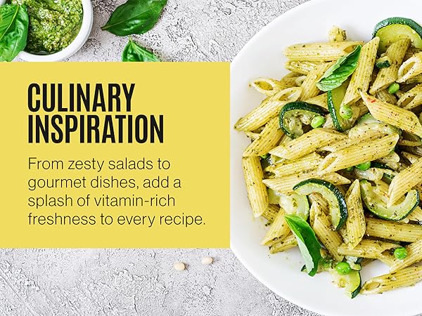 Large Lemon Squeezer Stainless Steel Press Manual Design Pro-Grade Lemon Lemon Juicer Squeezer