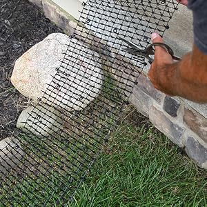 cat scat mat cat repellent stop digging