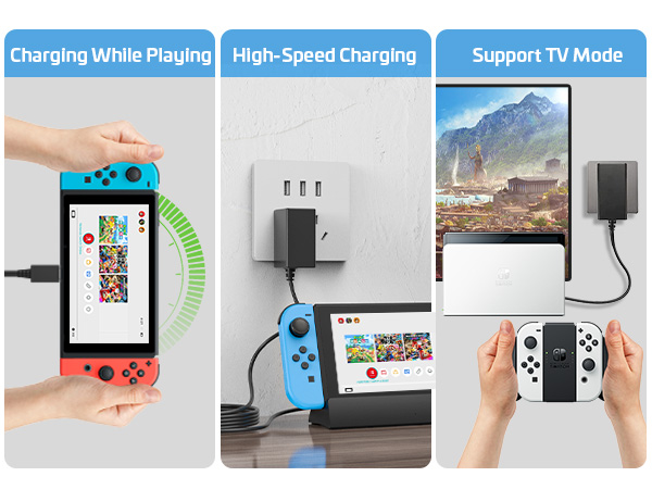 switch charger
