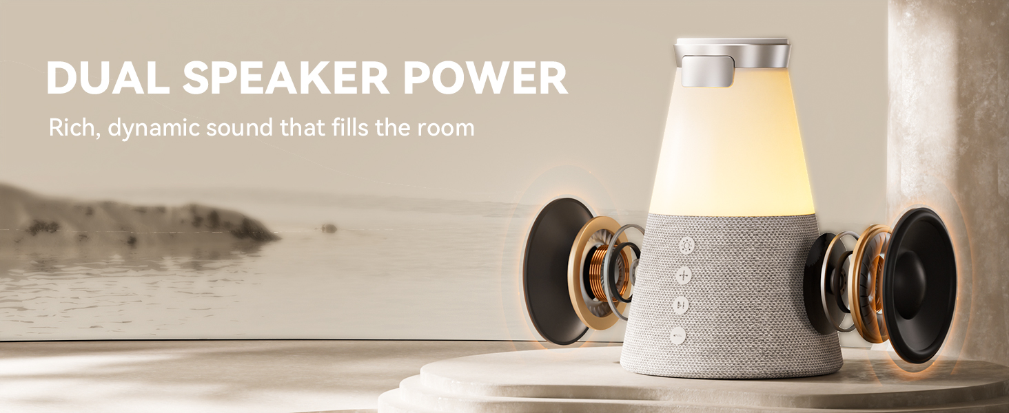 Dual Speaker Power