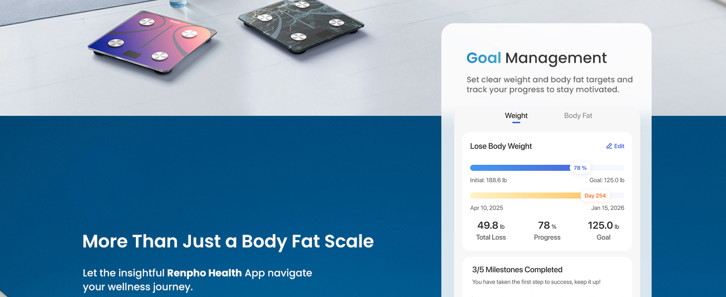 scale