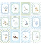 R HORSE Baby Boy Monthly Milestone Cards, Monthly Photo Props for Newborn | Grandmillennial, Wate...