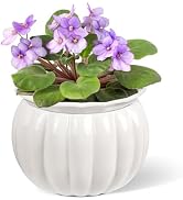 BUYMAX African Violet Pots, 6 inch Pumpkin-Style Ceramic Easy Self Watering Plant Pot for Busy Pl...