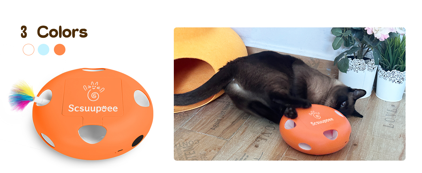cat toys
