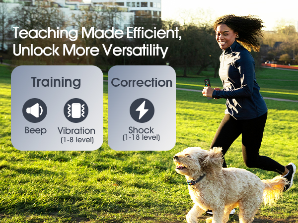 dog training collar