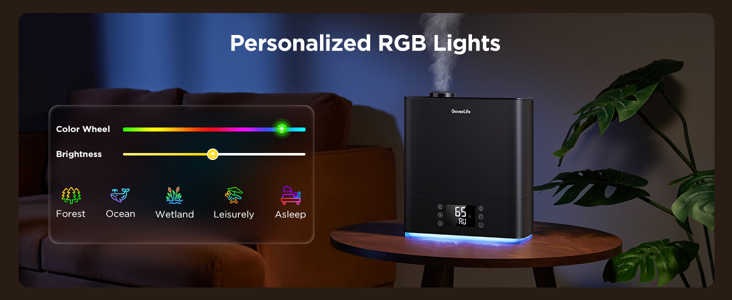 RGB Lights
