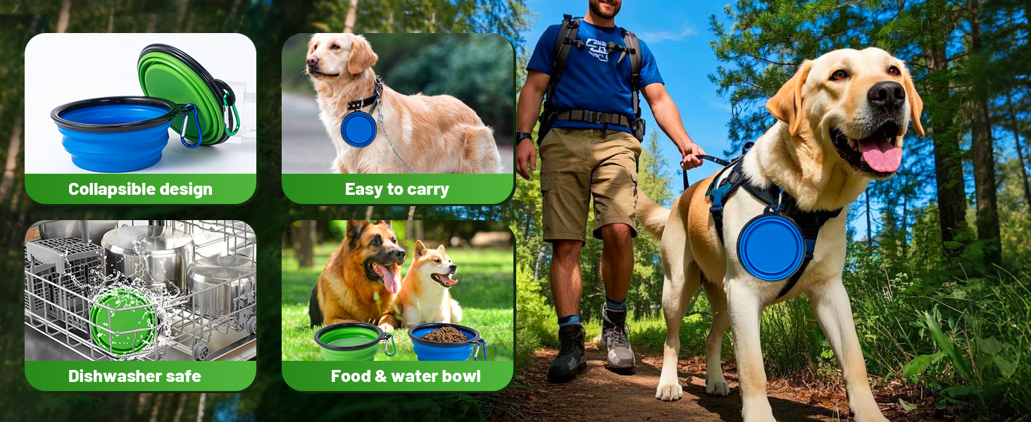 dog bowls water