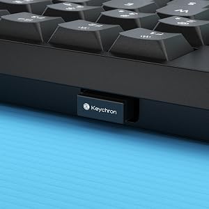 2-in-1 Receiver