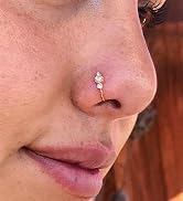 nose hoop cake 625