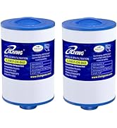 iLiving ILG8CF-CH-940 Pool & Spa Filter Replacement, Compatible with Pleatco PWW50P3, Waterway Pl...