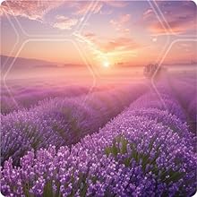 lavender scent