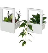 JACKCUBE Design White Wall Hanging Small Planter for Indoor- Set of 2 Ceramic Pots Planters for A...