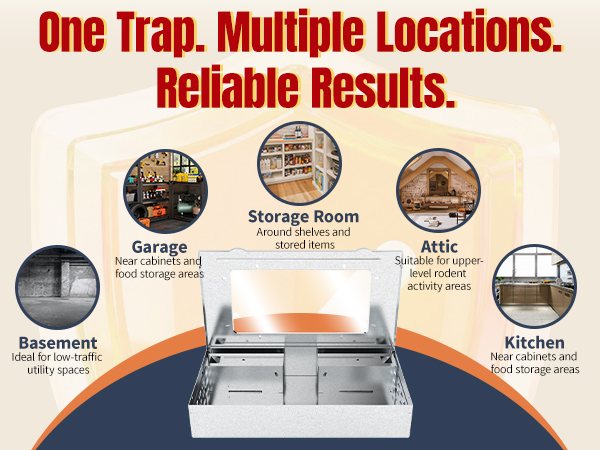 mouse traps mouse traps indoor for home rat trap mice traps live mouse trap humane mouse traps