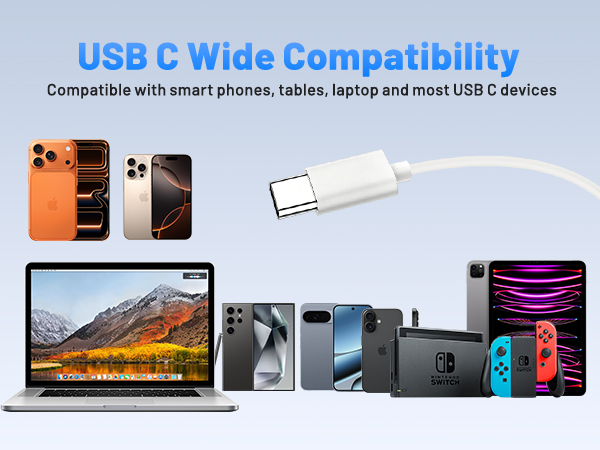usb c headphones wired