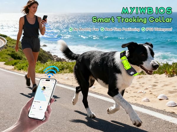 MYIWB iOS Smart Dog Tracking Collar, Real-Time GPS, No Monthly Fee, IP68 Waterproof