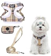 PUPTECK No Pull Dog Harness and Leash Set Reflective No Choke Step in Puppy Halter for XS Small a...