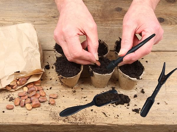 succulent tools