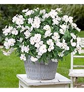 Besteek 5 Pcs Artificial Flowers for Outdoors Silk Impatiens Flowers Bouquet Decorations Fake Fau...