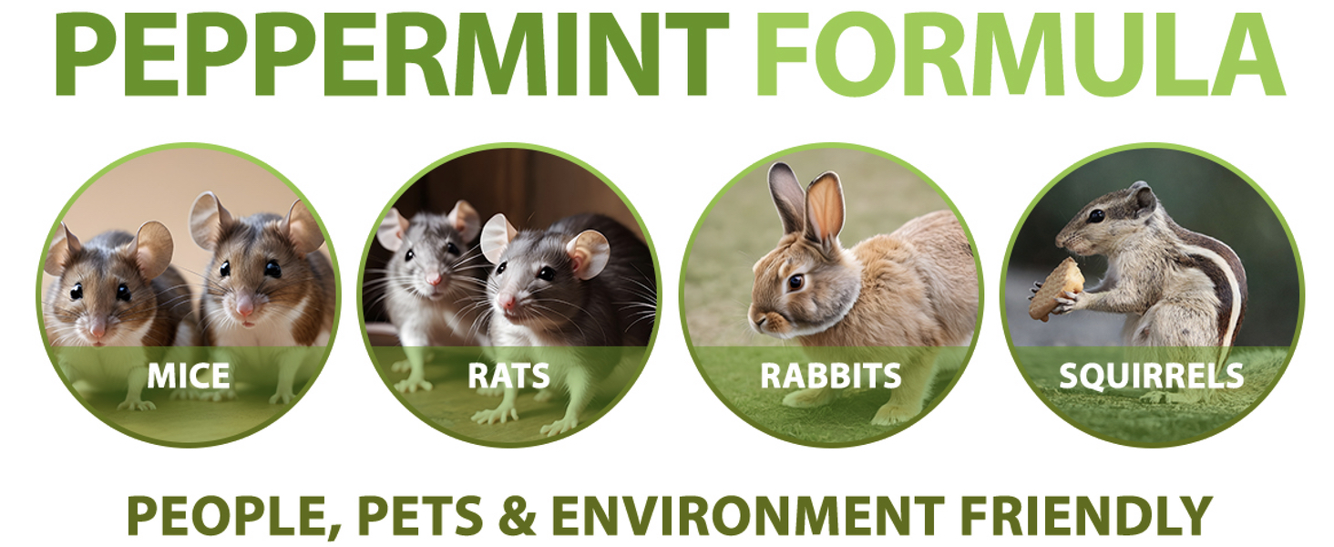 peppermint spray for mice