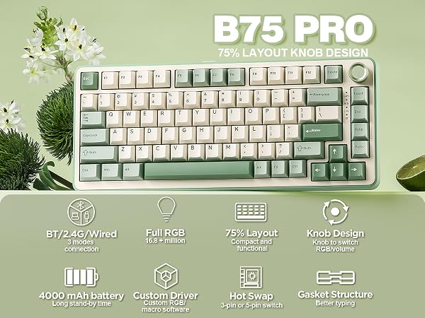 b75 pro