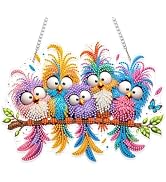 Eiflow Hanging Diamond Art Kit for Adults Funny Birds DIY Acrylic Diamonds Craft Painting Ornamen...