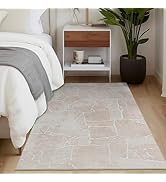 Ruggnovea Area Rug 3x5 Machine Washable Rug Vintage Traditional Floor Cover Foldable Thin Retro I...