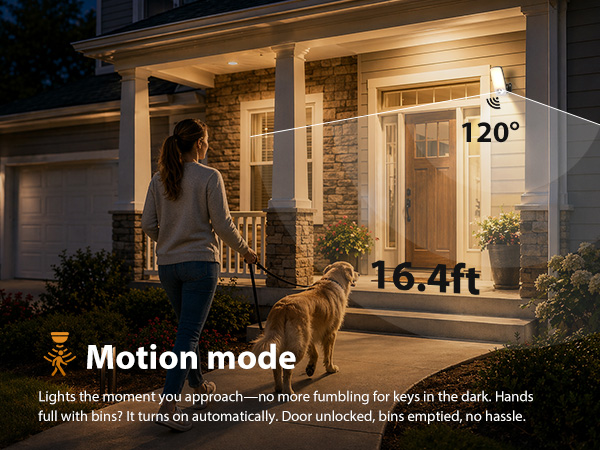 Motion Mode