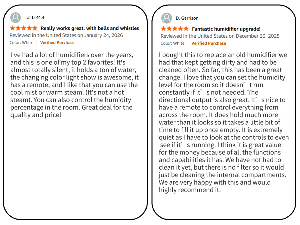 warm and cool mist humidifier