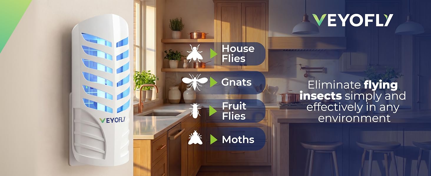 Fly Traps