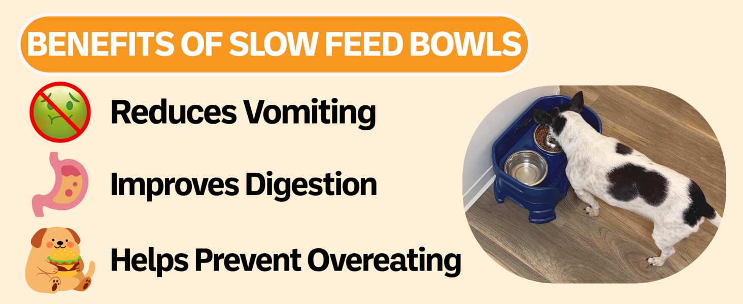 Benefits of using a slow feed bowl