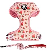 Dog Harness and Leash Set, Adjustable Dog Harness, Dog Leash, No Pull No Choke Puppy Harnesses fo...
