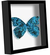 Picrit Shadow Box Frame 12x12, Display Case Box with High Definition Real Glass and Black Back fo...