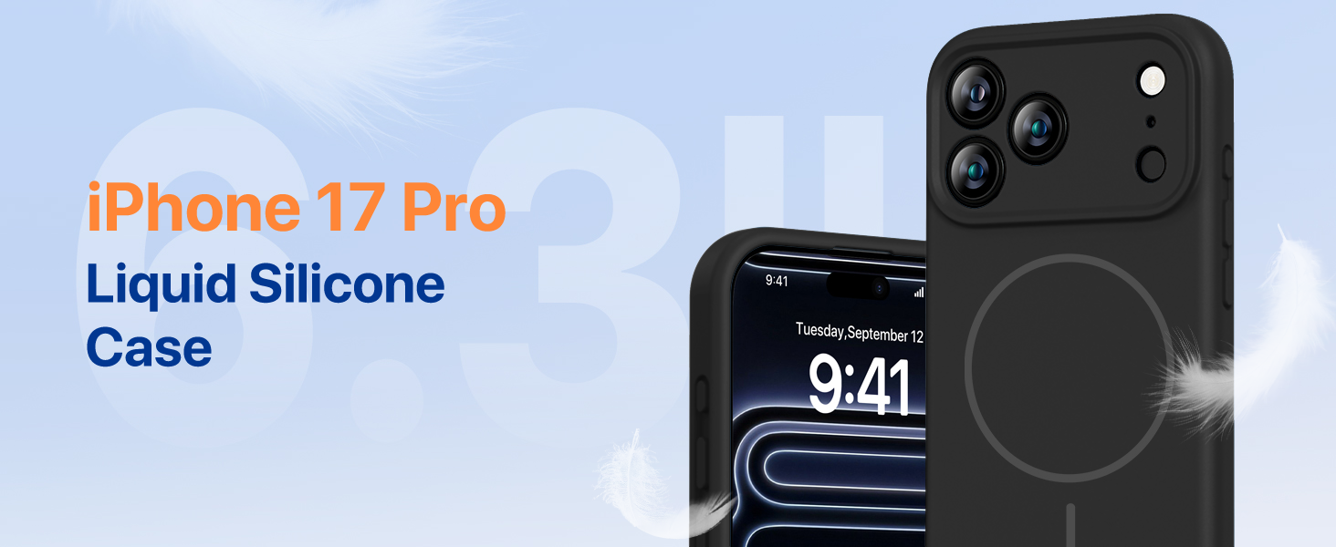 17 pro case