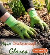 Woman Gloves