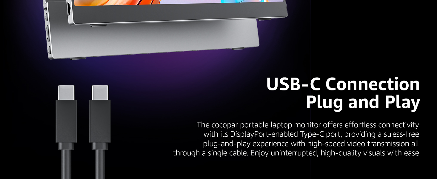 monitor portable