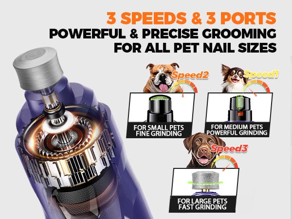 dog nail clippers for large dogs