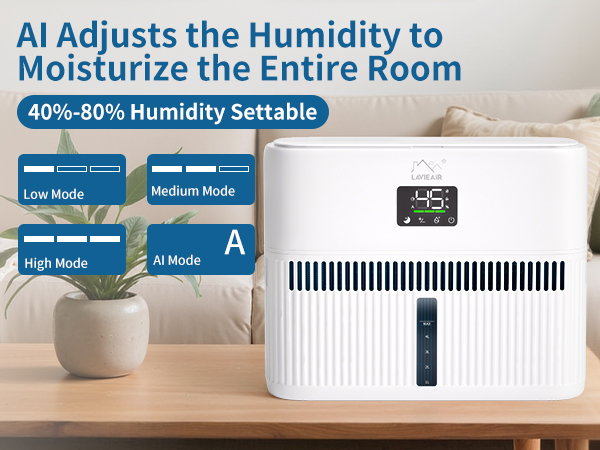 Evaporative Humidifier