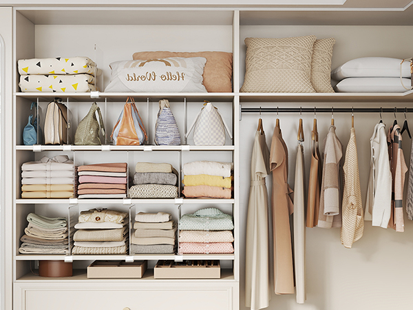 Purse Organizer