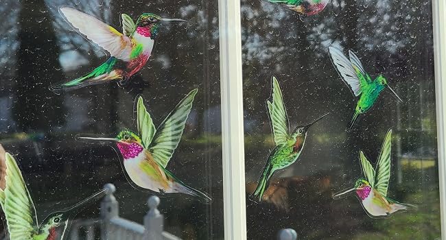 Outside View of Realistic multi-colored hummingbird window clings