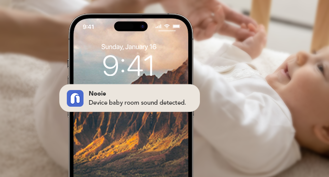 Real Time Alerts