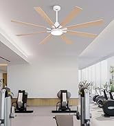 light wood ceiling fan with light