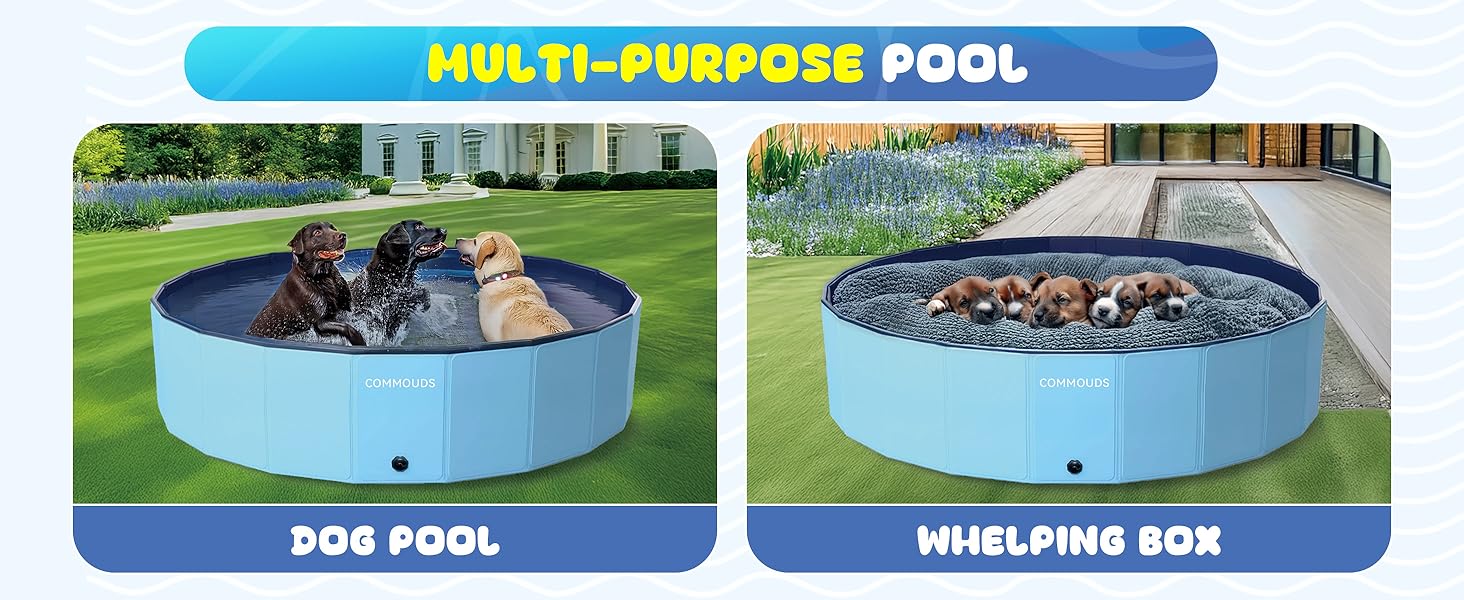 deep dog pool