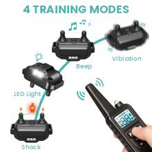 4 Training modes training collar